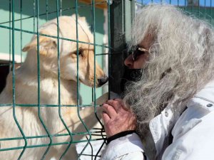 Barınaktaki Yavru Köpeklerin Bakımsızlıktan Öldüğü İddiası Tepkilere Neden Oldu
