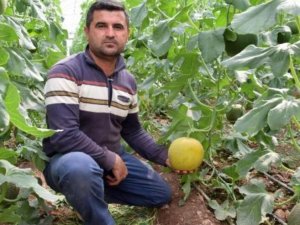 Kumluca’da Devrilen Traktörün Altında Kalan Sürücü Hayatını Kaybetti