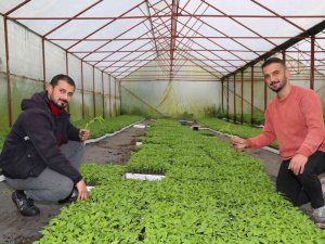 Gençlere Büyük Destek