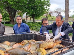 Elazığ’da Kaçak Avlanan 500 Kilogram Balık Yakalandı