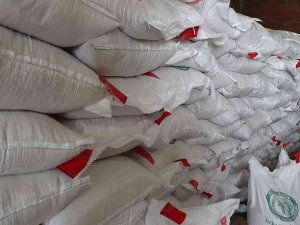 Sinoplu Çiftçilere Çeltik Tohumu Hibesi