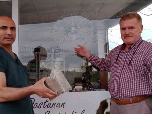 Kuşu Öldü, Veteriner Hekime Saldırdı