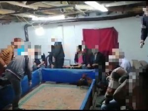 Cinayetten Aranan Şahıs Horoz Dövüştürürken Yakalandı