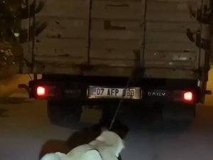 Köpeği Kamyonun Arkasına Bağlayan Vicdansız Sürücüye Para Cezası Ve Adli İşlem
