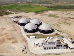 Turgutlu Biyogaz, Manisa’nın Bereketli Tarım Topraklarına Değer Katıyor