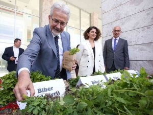Bursa’da 400 Bin Fide Toprakla Buluşacak