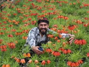 ‘Ağlayan Gelinler’den Görsel Şölen