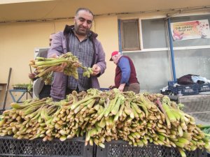 Şifa Deposu ‘Işkın’ Tezgahlardaki Yerini Aldı
