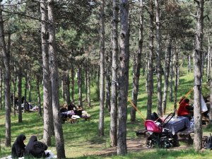 Sultangazi Şehir Ormanlarında Piknik Mevsimi Başladı