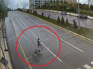 Sokak Köpeğinden Kaçarken Düşen Çocuk Ağır Yaralanmıştı, O Anlar Kamerada