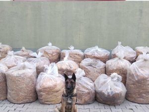 Bingöl’de 850 Kilo Yaprak Tütünü Ele Geçirildi
