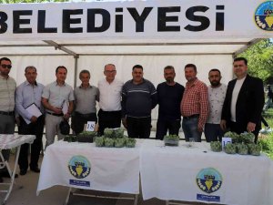 Turgutlu’da ‘En Güzel Erik Yarışması’ Düzenlendi