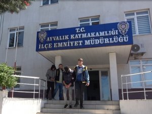 Çaldıkları 32 Oğlağı Bir Otomobile Sığdıran Hırsızlar Ayvalık Polisinden Kaçamadı