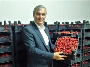 Sivaslı’da Belediyeden Kadınlara İş İmkanı