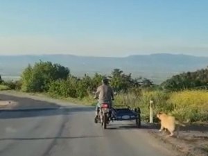 Köpeği Motosikletin Arkasına Bağlayıp Sürükledi