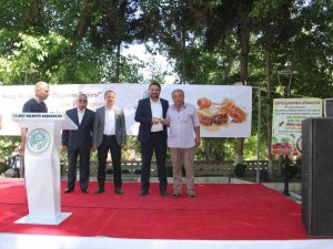 Mut’ta Bal Üreticilerine Kafkas Irkı Anaç Arı Dağıtıldı