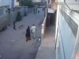 Sokak Köpeğinin Küçük Çocuğa Saldırdığı Anlar Kamerada