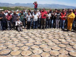 Yörükler Bolluk Ve Bereket İçin Kurbanlar Kesti