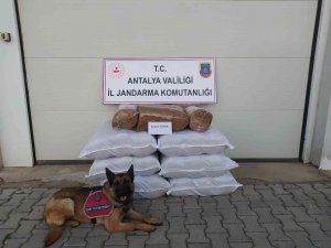Yolcu Otobüsünde 210 Kilogram Kaçak Tütün Ele Geçirildi