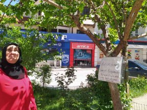 Balıklı Caddesi Esnaflarından "Olgunlaşmadan Koparmayın" Uyarısı
