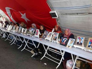 Ailelerin Kararlı Direnişi 981’inci Gününde