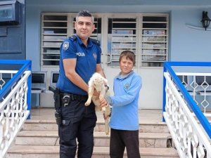 12 Yaşındaki Aykut İle Yavru Keçi ’Saniye’yi, Polis Kavuşturdu