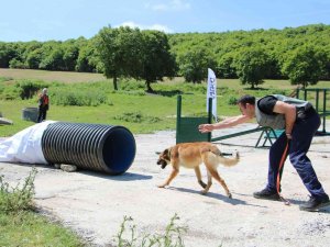 Arama Kurtarma Köpeklerinden Başarılı Sınav