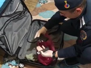 Düğün Magandalarına Operasyon