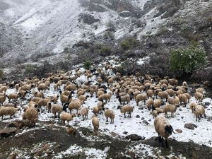 Mayıs Ayında Kar Sürprizi
