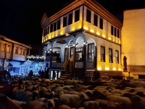 Şehir Merkezinden Geçen Koyun Sürüsü İlginç Görüntüler Oluşturdu