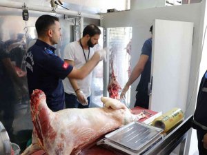 Şanlıurfa’da 1 Ton 250 Kilo Bozuk Et Ele Geçirildi