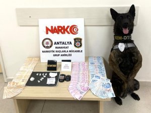 Uyuşturucu Satıcılarından Basın Mensubuna: “Baronları Çek Dayı Baronları, Bizi Değil”