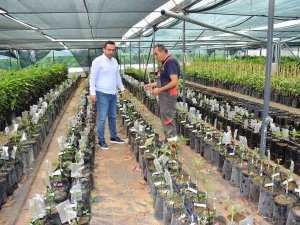 Matso Başkanı Güngör: “İ̇hracat Yapan Firmalarımızı Destekliyoruz”