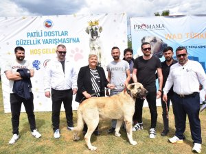 Ceyhan’da "Patili Dostlar Güzellik Yarışması"