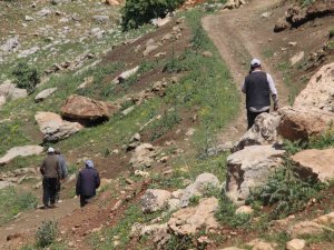 Gabar Dağı’nda İki Gündür Kayıp Olan Vatandaşı Bulma Çalışmaları Devam Ediyor
