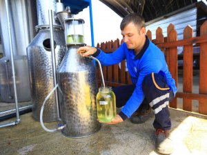 Büyükşehir İle Ürünlerin Değeri Artıyor, Üretici Kazanıyor