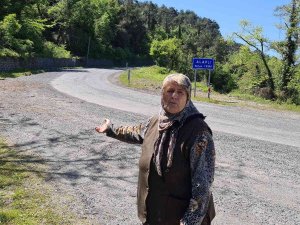 Alaplı’da Vatandaşlar Caddenin Aydınlatılmasını Talep Ediyor