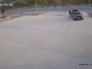 Lüks Otomobille Mazgalları Çaldılar