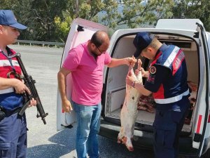 Kaçak Kesim Havyan Eti Yakalandı