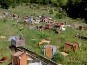 Tekirdağ’da Kovanları Kırıp 4 Milyon Arıyı Telef Ettiler