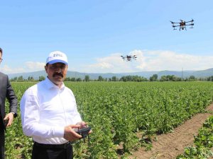 Vali Masatlı, Zi̇ha İle İlaçlama Yaptı