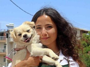 Marketteki Köpeğe Sebepsiz Yere Tekme Attı, Kamera Kaydını İzleyen Genç Kadının Ağzı Açık Kaldı