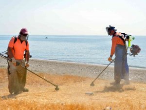 Mersin Büyükşehir Belediyesi, Plajları Yaza Hazırlıyor