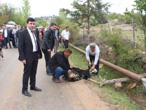 Erdemli’de Sulama Suyu Sevinci