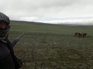 Tekman’da Mayıs Ayında Kar Sürprizi