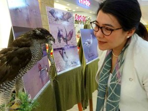 Osmaniye’de ‘Göçler Güç Olmasın’ Fotoğraf Sergisi