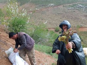 Elazığ’da Zorlu Işkın Mesaisi Sürüyor