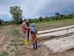 Eğirdir Orman Fidanlık Müdürlüğü 2022 Yılında 9 Milyon 500 Bin Adet Fidan Yetiştirecek