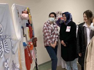1. Anatomi Materyalleri Sergisi: Farklı Maddeler Anatomik Materyallere Dönüştü