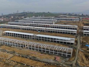 Toybelen’de 2. Etap Başvuruları Başladı